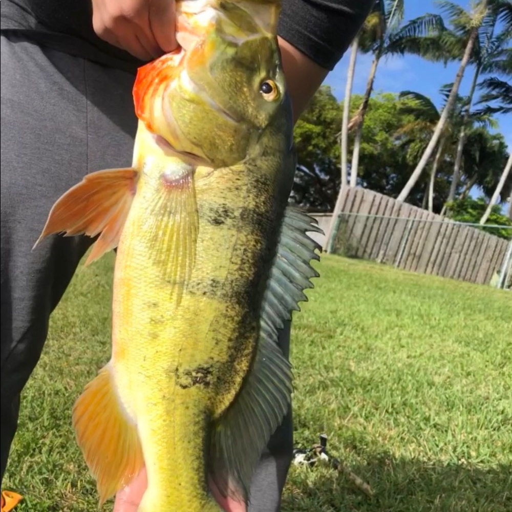 Meet your Posher, Rob